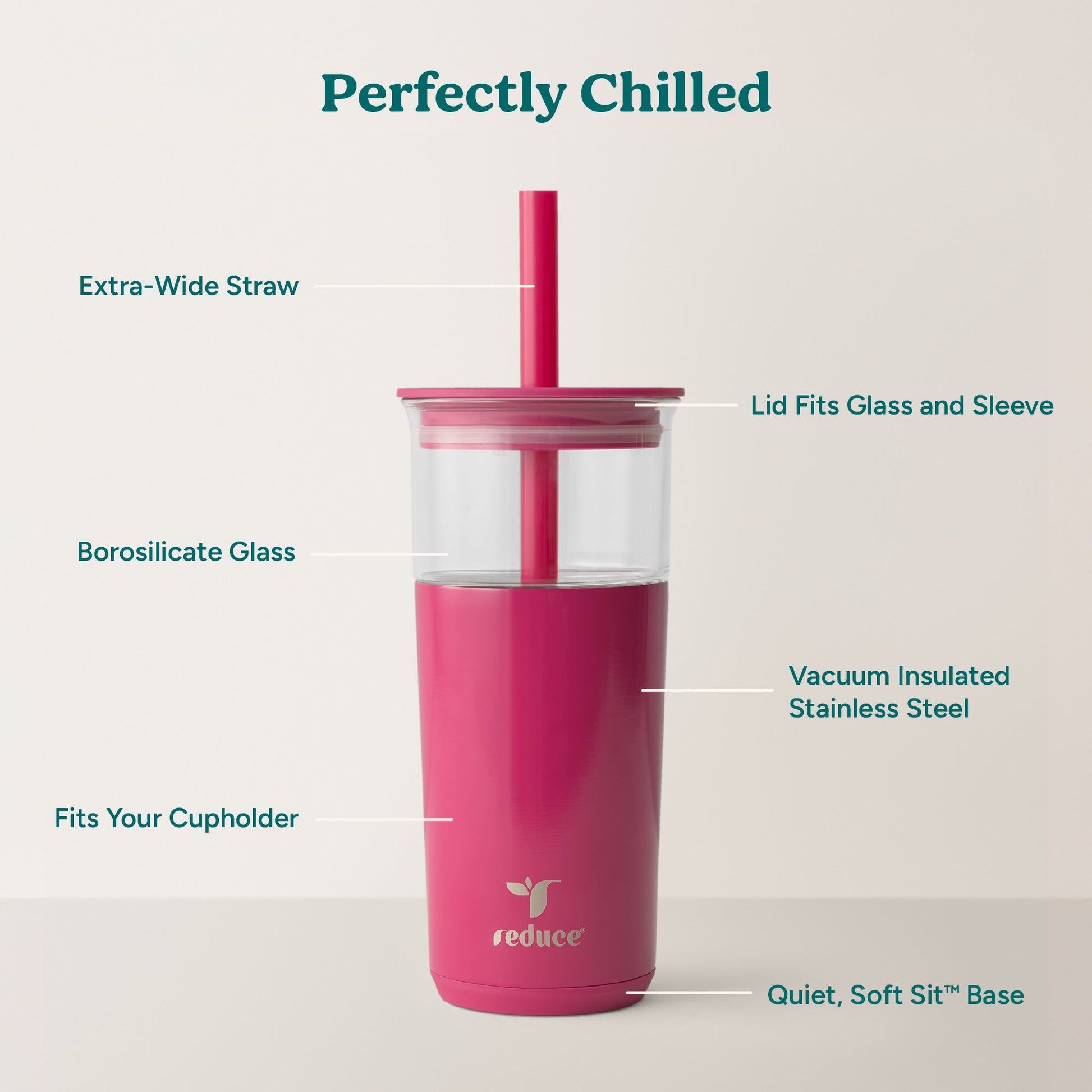 aspen-20-oz-c8 Aspen_Dragonfruit_PDP_Infographic2.jpg