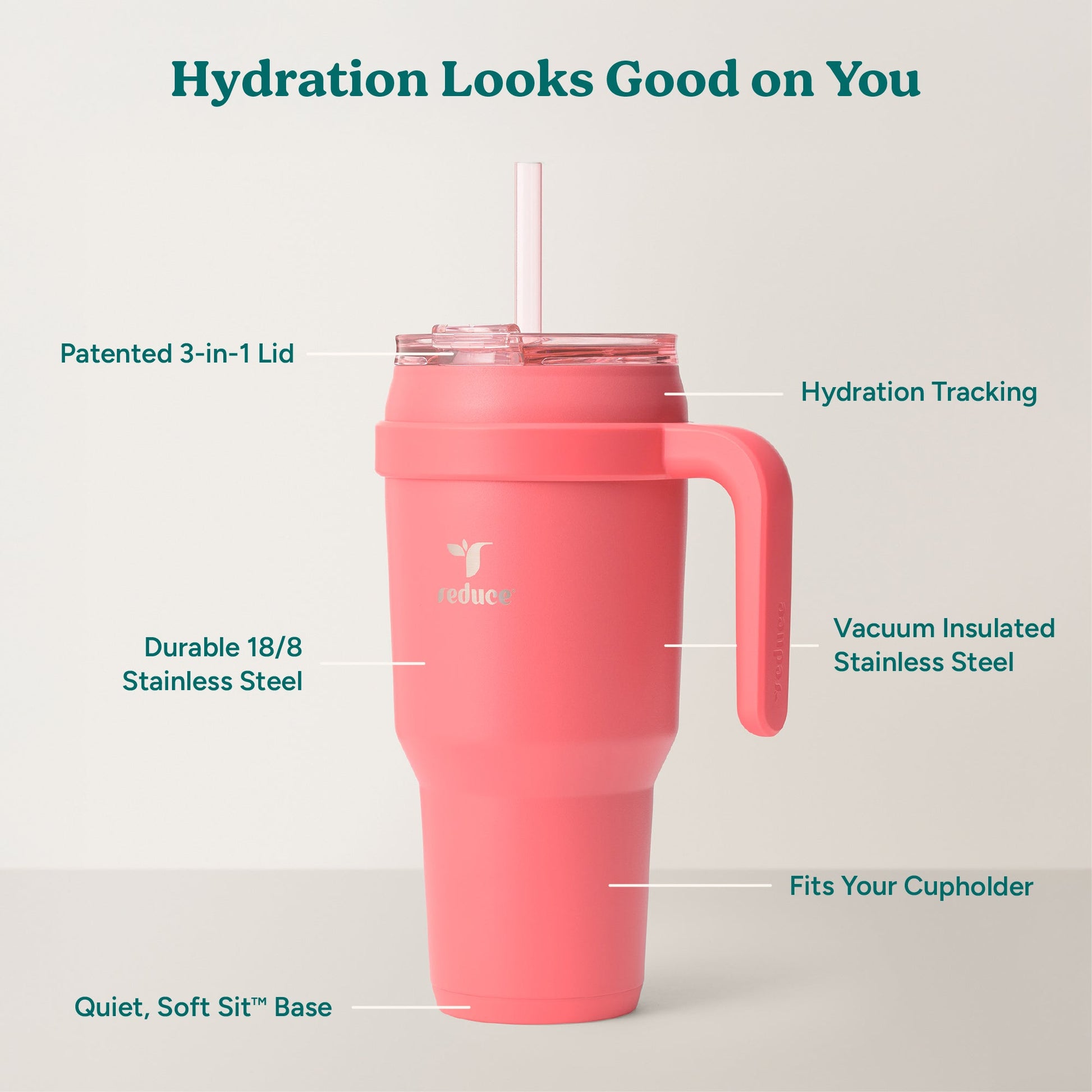 cold1-40-oz-z4 Cold1_40oz_Daiquiri_Infographic_2.jpg