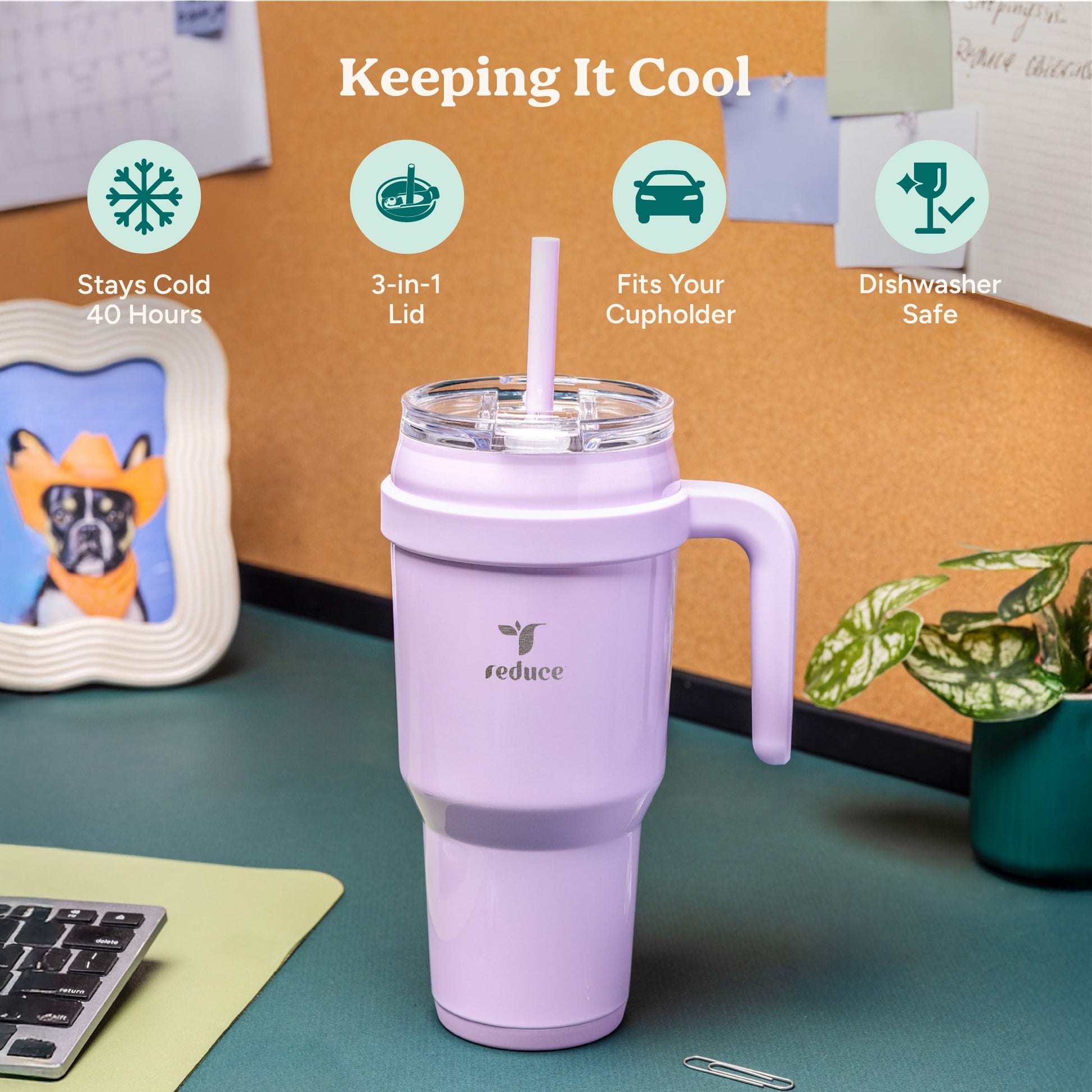 cold1-40-oz-l3 Cold1_40oz_OahuBlue_Infographic_1.jpg