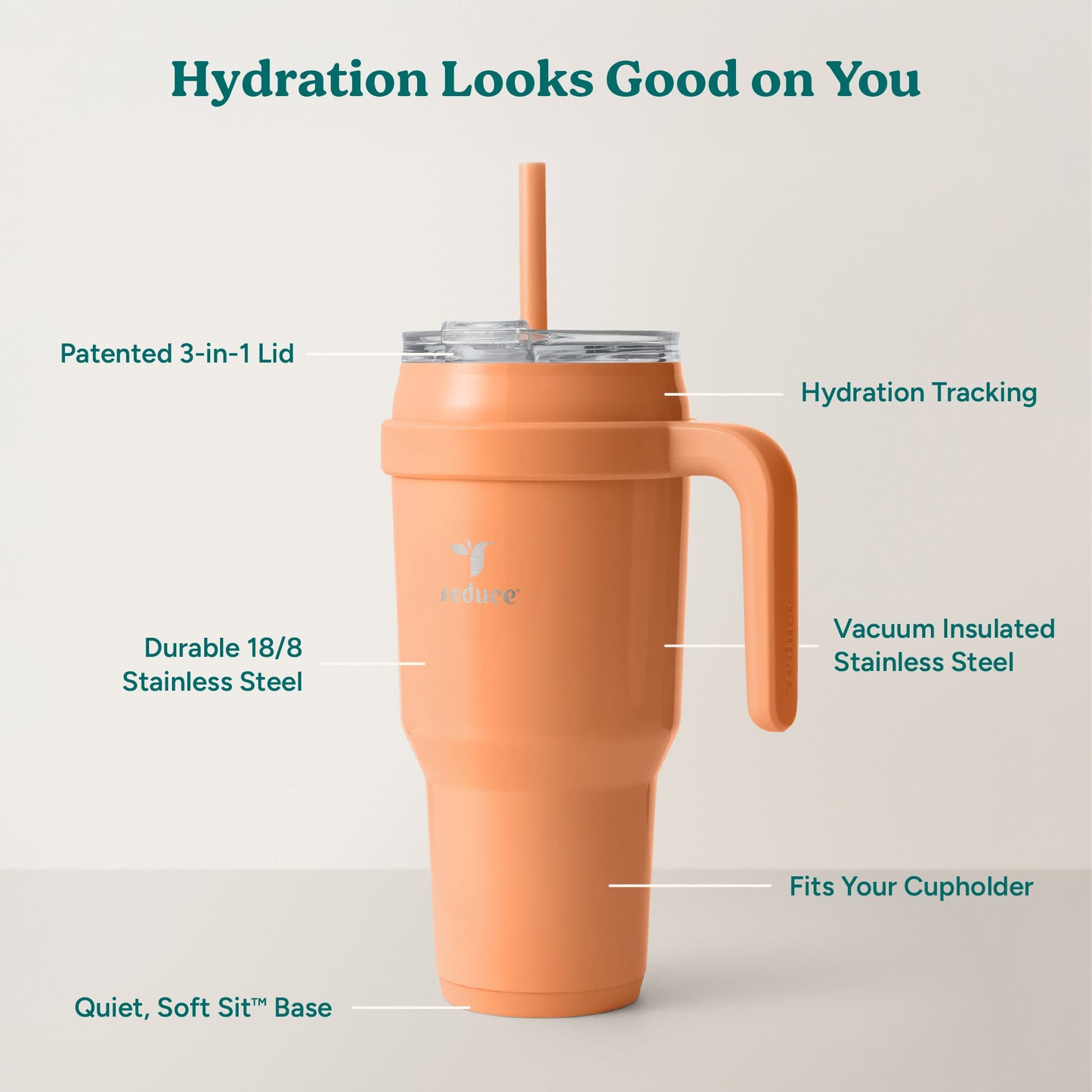 cold1-40-oz-z4 Cold1_40oz_Papaya_Infographic_2.jpg