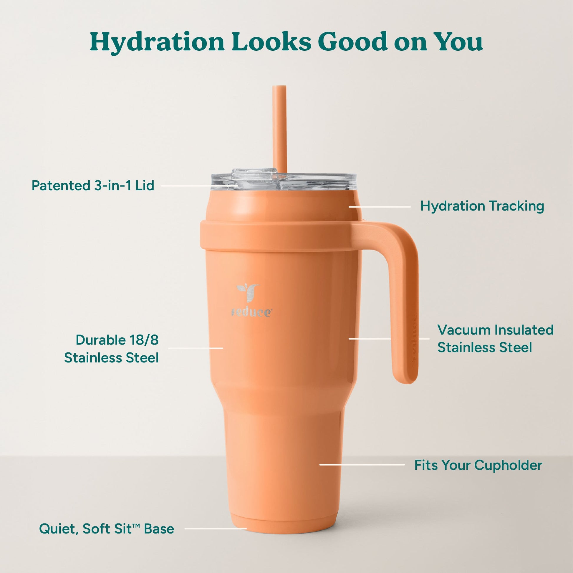 cold1-40-oz-z4 Cold1_40oz_Papaya_Infographic_2.jpg